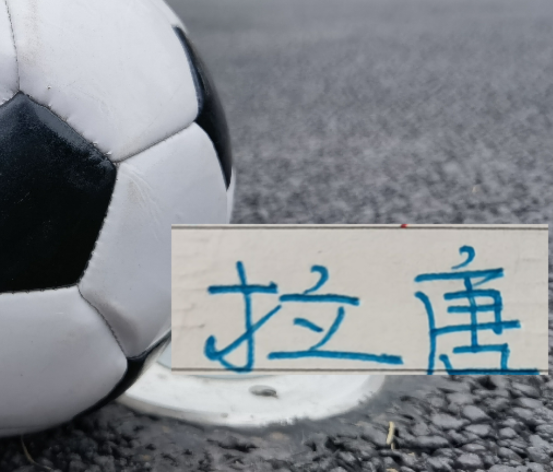 Ảnh